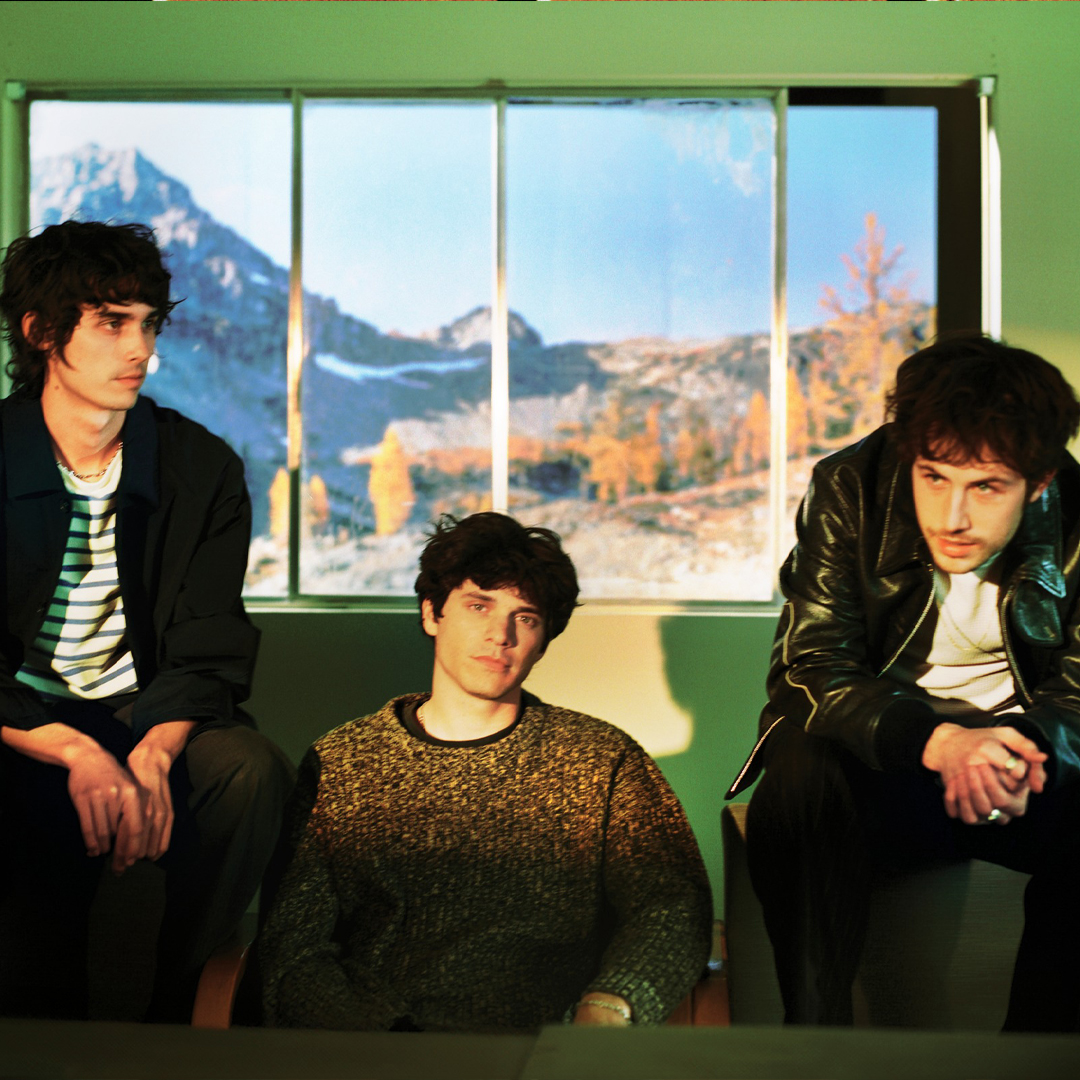 Wallows