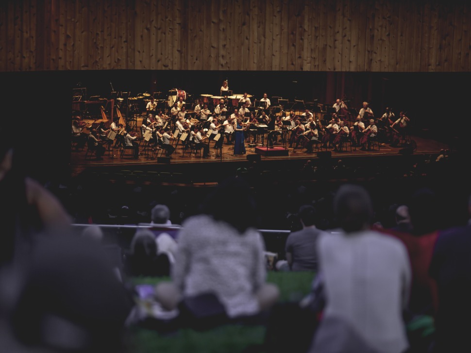 View of orchestra from lawn.