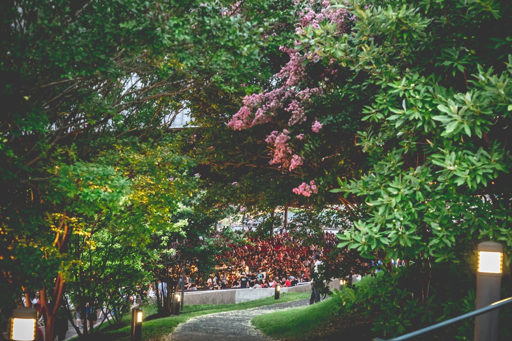 Foliage at the Mann
