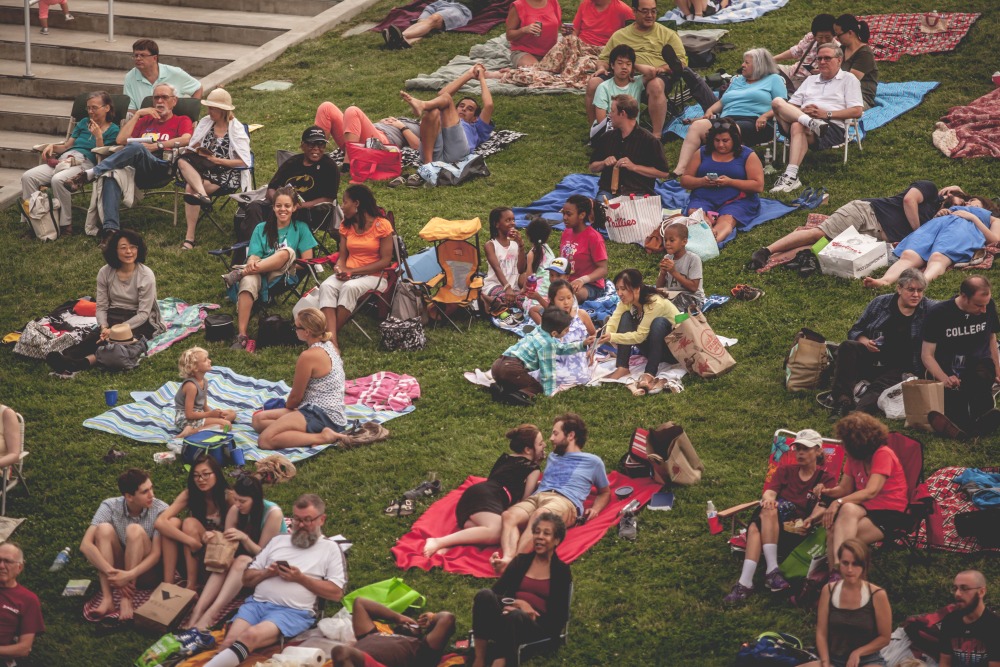Patrons on the lawn at the Mann