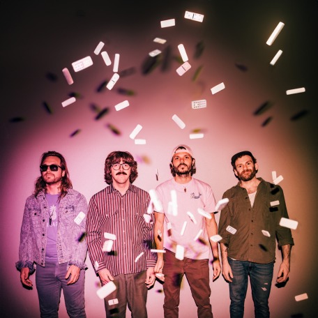Goose Press Photo