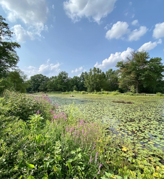 Fairmount Park Soundwalk