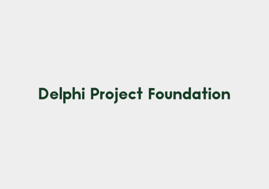 delphia project foundation color