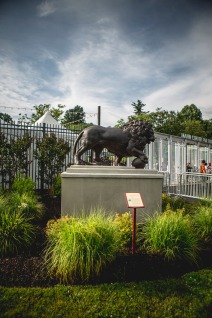 florentine lions
